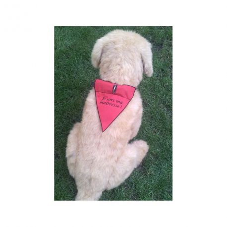 Bandana pour chien / chat personnalisé Bandana pour chien / chat personnalisé